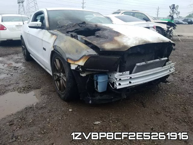 1ZVBP8CF2E5261916