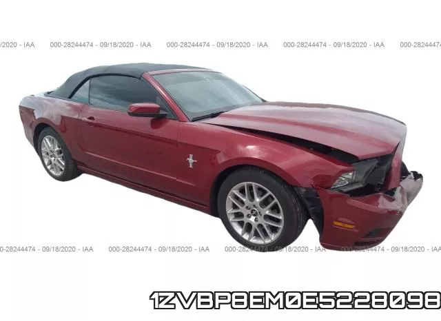 1ZVBP8EM0E5228098