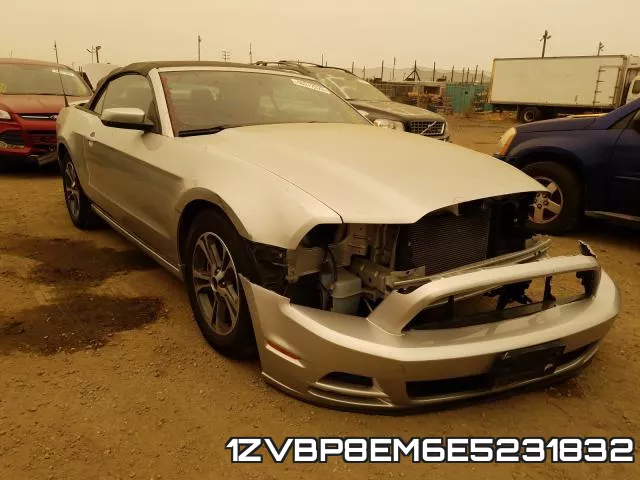 1ZVBP8EM6E5231832