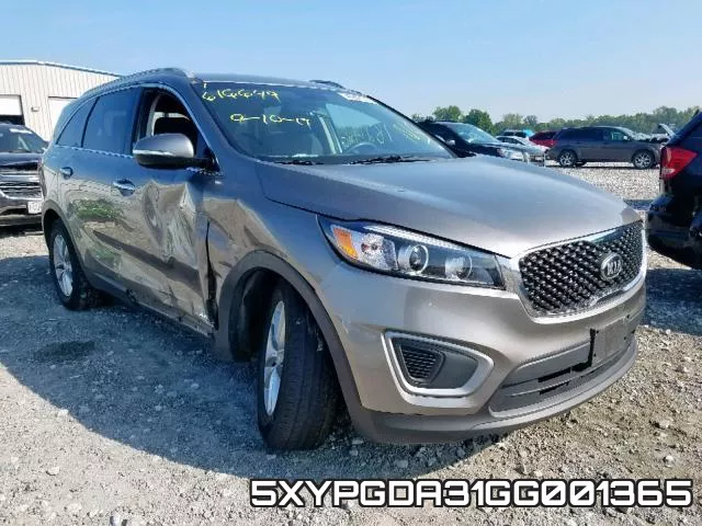 5XYPGDA31GG001365