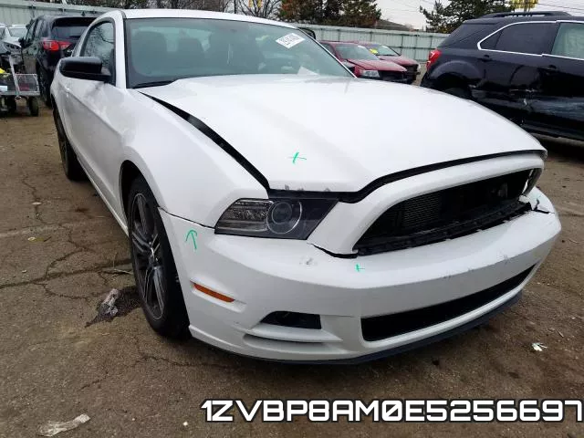 1ZVBP8AM0E5256697