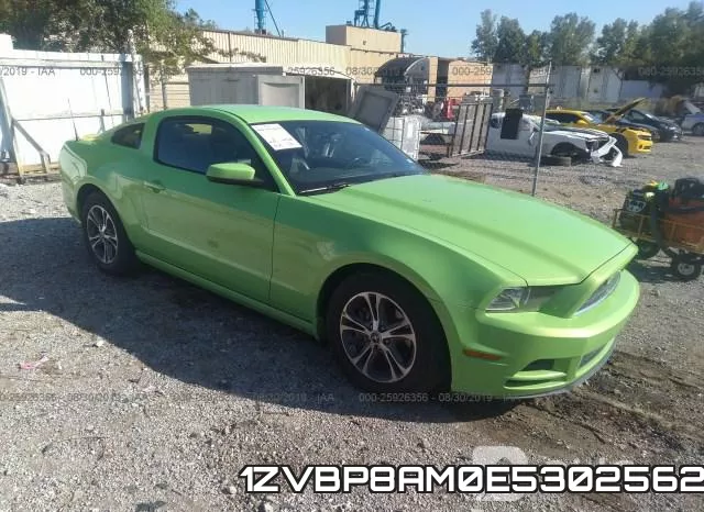 1ZVBP8AM0E5302562