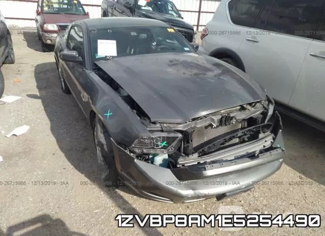 1ZVBP8AM1E5254490