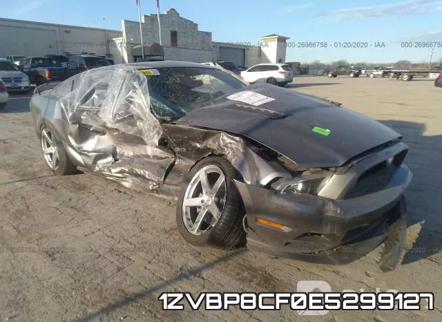 1ZVBP8CF0E5299127