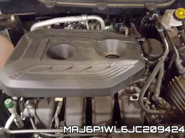MAJ6P1WL6JC209424_7.webp