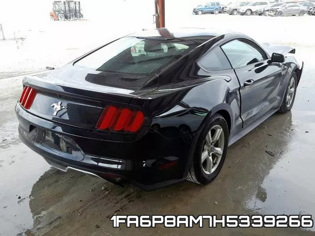 1FA6P8AM7H5339266_4.webp