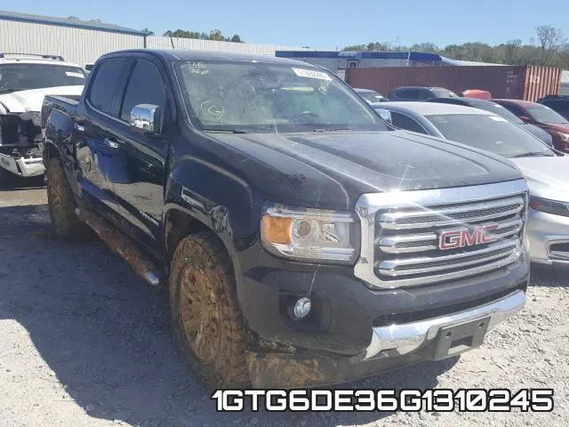 1GTG6DE36G1310245