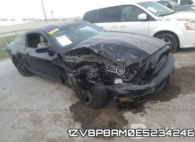 1ZVBP8AM0E5234246