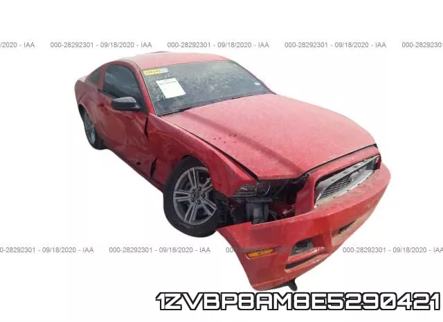 1ZVBP8AM8E5290421