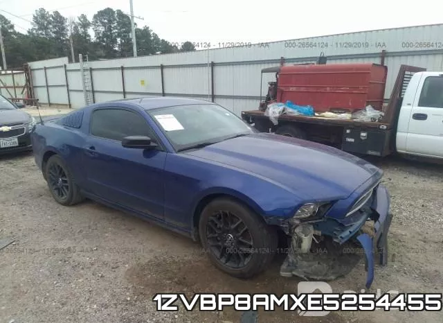 1ZVBP8AMXE5254455