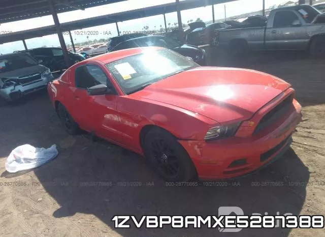 1ZVBP8AMXE5287388