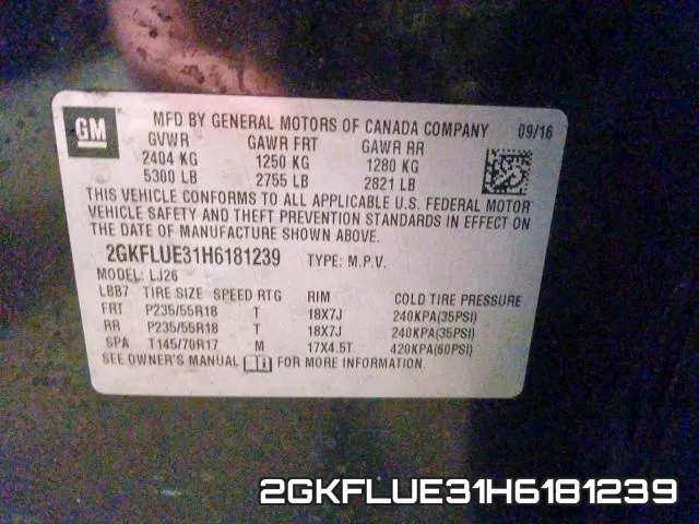 2GKFLUE31H6181239_10.webp