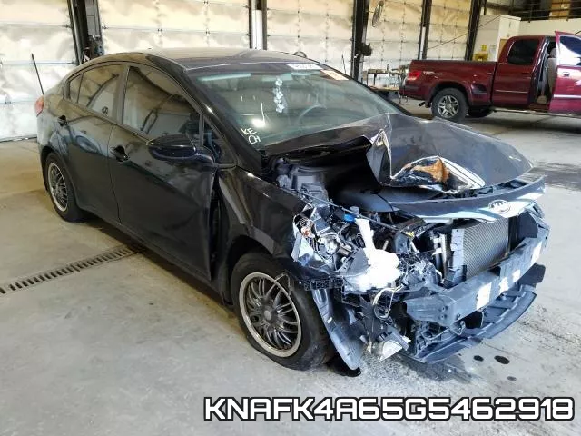 KNAFK4A65G5462918