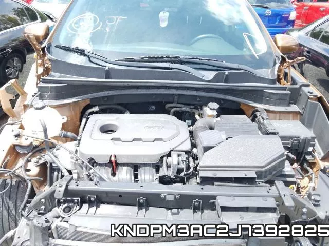 KNDPM3AC2J7392825_7.webp