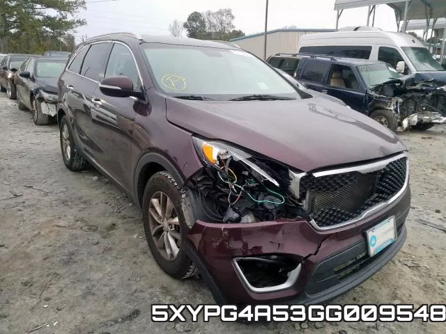 5XYPG4A53GG009548