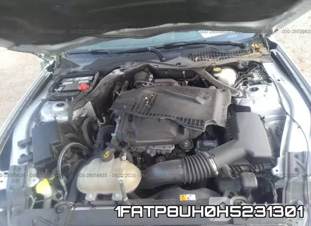 1FATP8UH0H5231301_10.webp