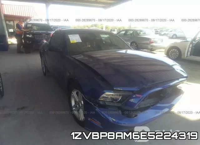 1ZVBP8AM6E5224319