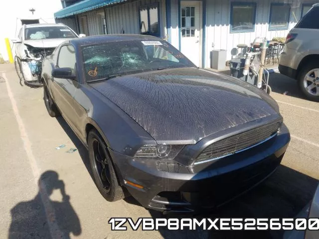 1ZVBP8AMXE5256500