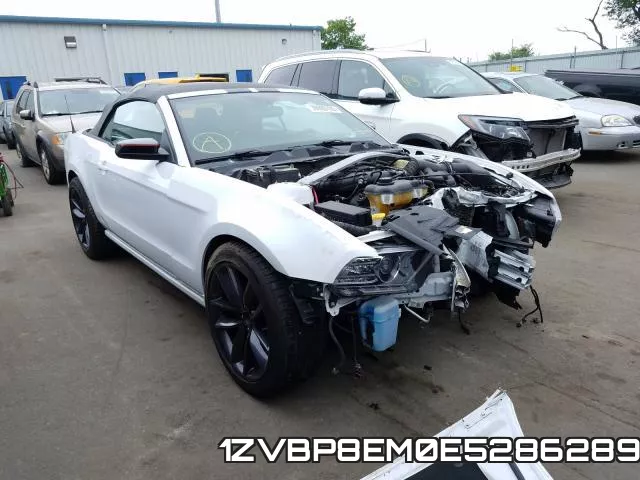 1ZVBP8EM0E5286289