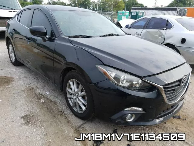 JM1BM1V71E1134509