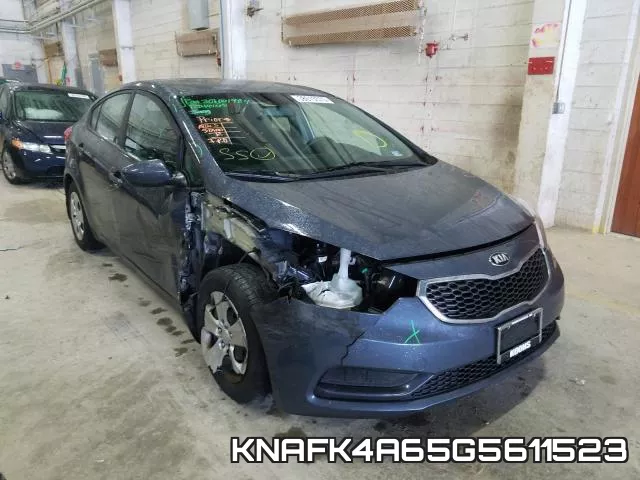 KNAFK4A65G5611523