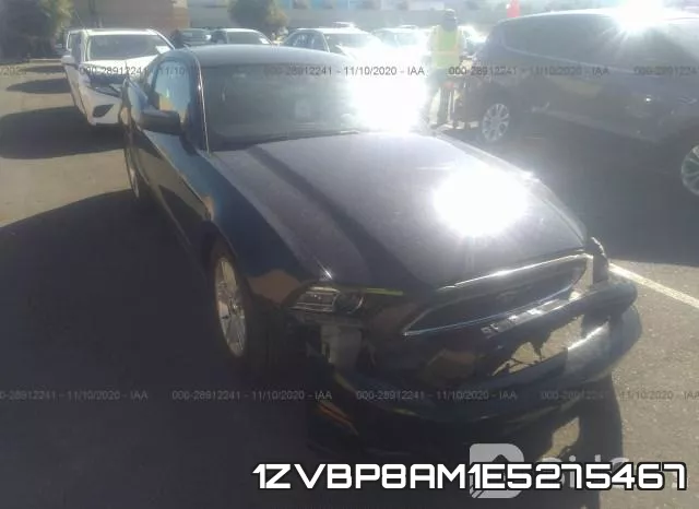 1ZVBP8AM1E5275467