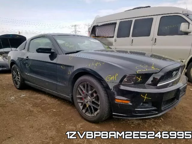 1ZVBP8AM2E5246995