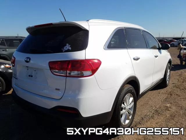 5XYPG4A30HG255151_4.webp