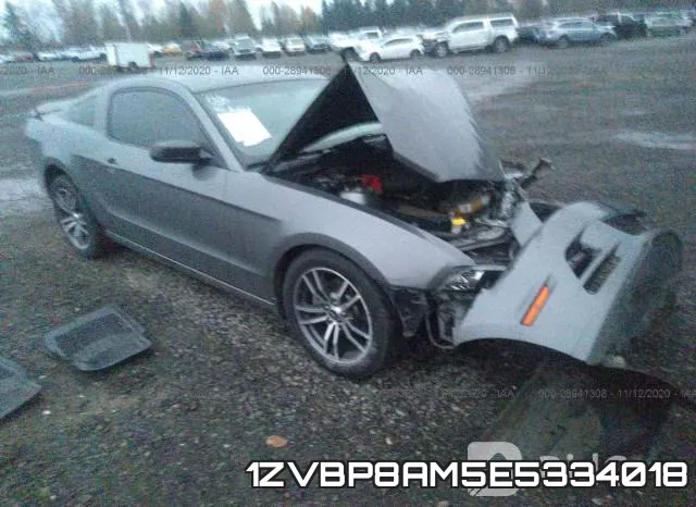 1ZVBP8AM5E5334018