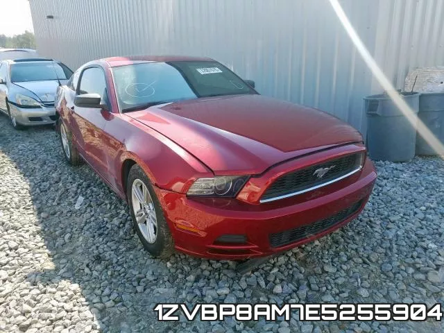 1ZVBP8AM7E5255904