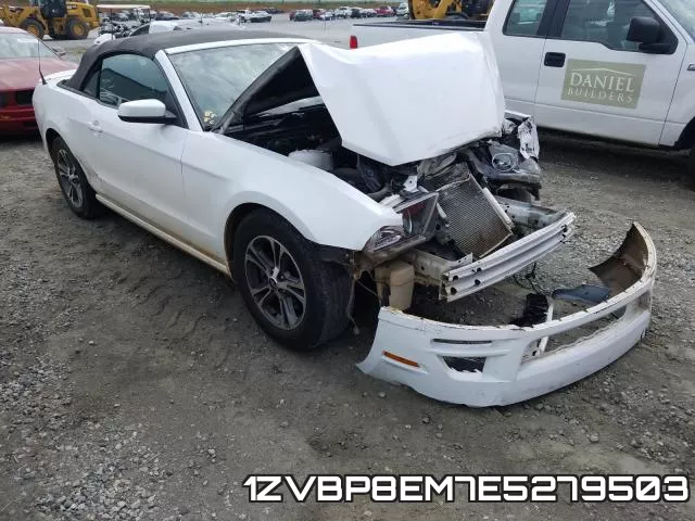 1ZVBP8EM7E5279503
