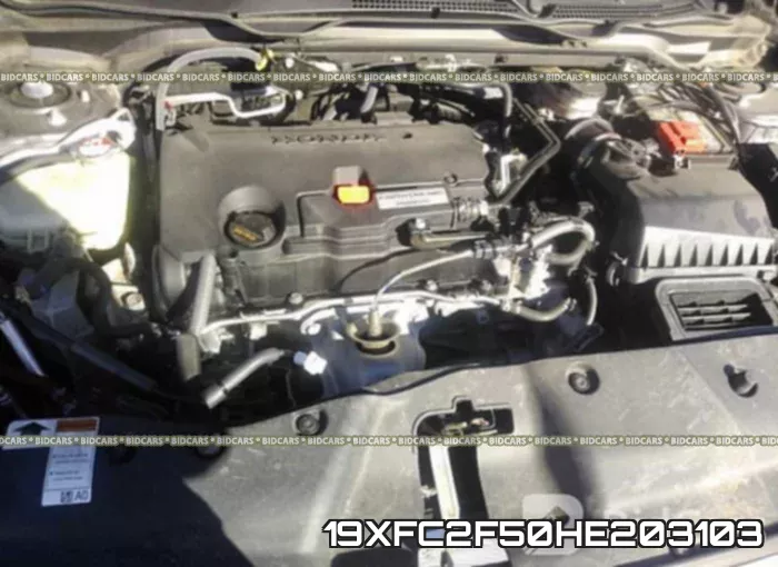 19XFC2F50HE203103_10.webp