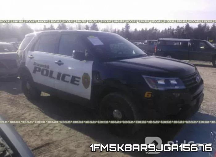 1FM5K8AR9JGA15676_1.webp