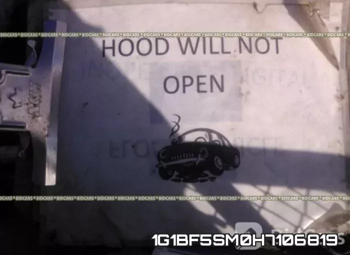 1G1BF5SM0H7106819_10.webp