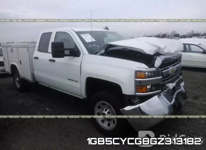 1GB5CYCG8GZ313182