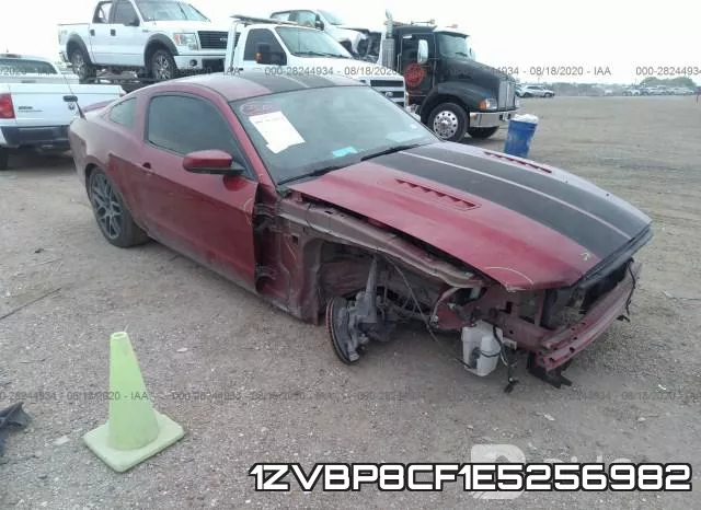1ZVBP8CF1E5256982