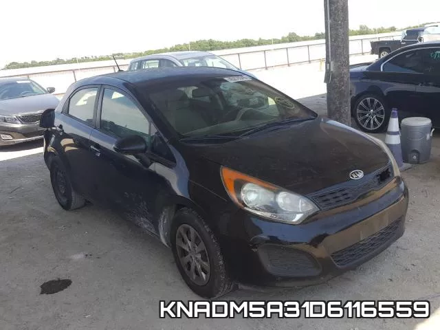 KNADM5A31D6116559