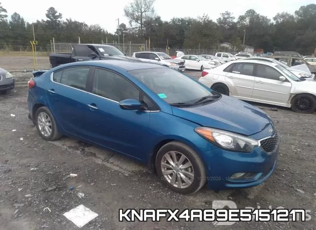 KNAFX4A89E5151217