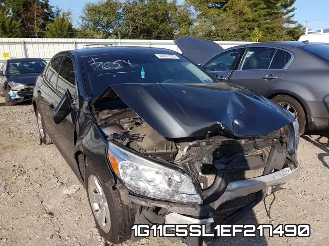 1G11C5SL1EF217490
