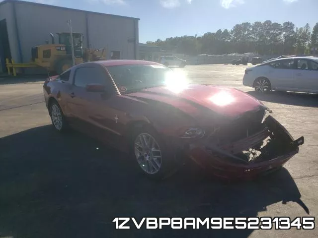 1ZVBP8AM9E5231345