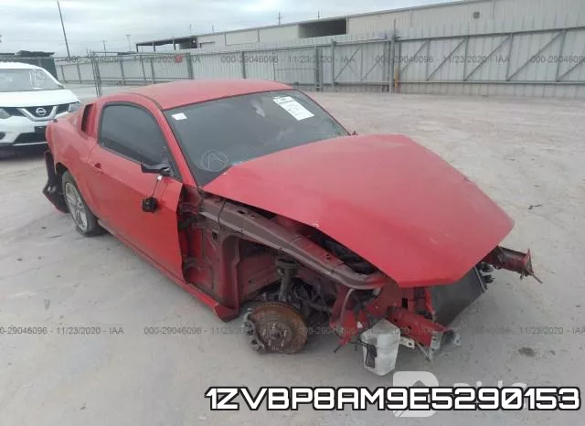 1ZVBP8AM9E5290153