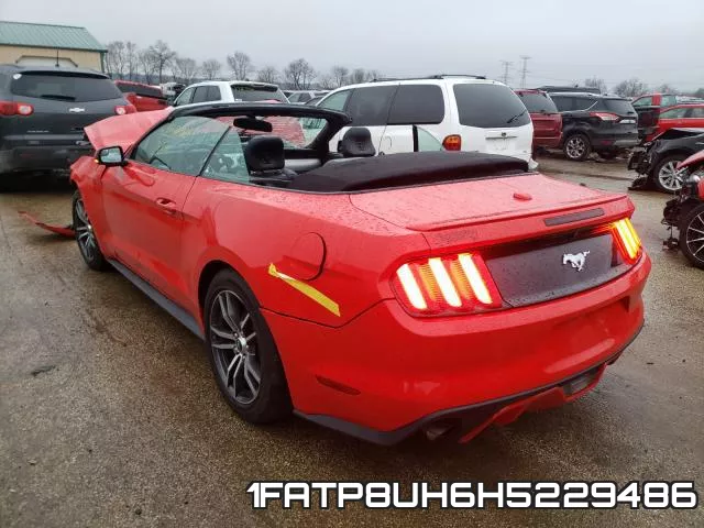 1FATP8UH6H5229486_3.webp