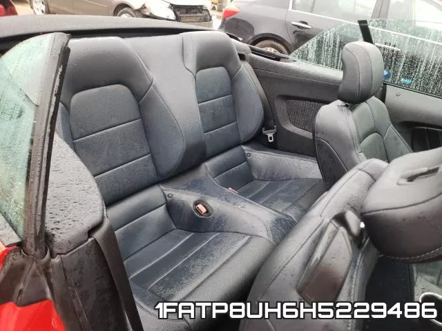 1FATP8UH6H5229486_6.webp