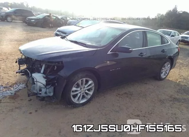 1G1ZJ5SU0HF155165_2.webp
