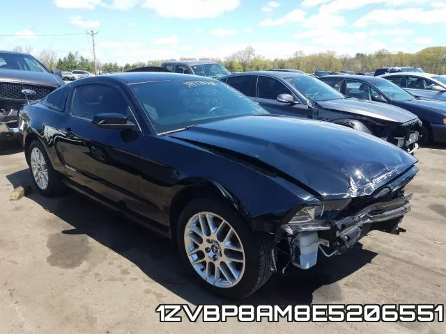 1ZVBP8AM8E5206551
