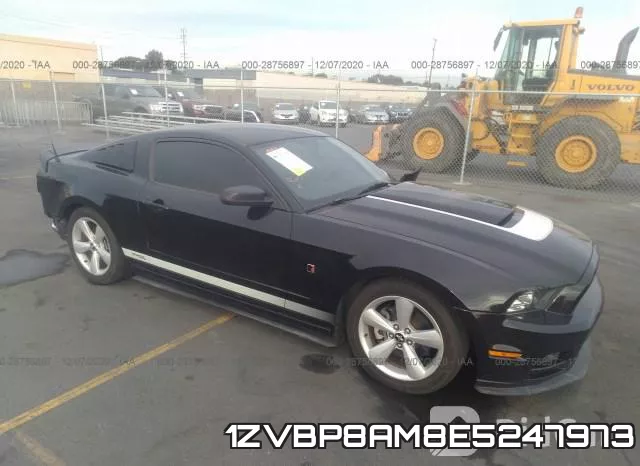 1ZVBP8AM8E5247973