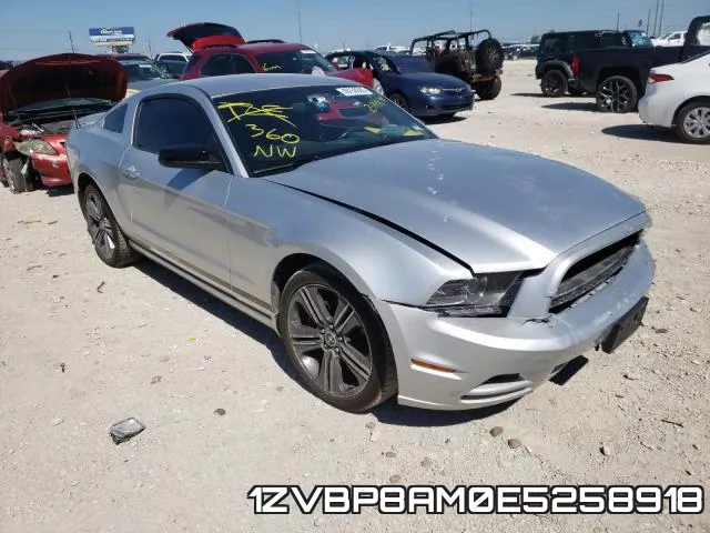 1ZVBP8AM0E5258918