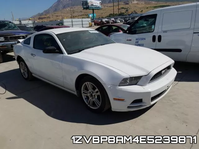 1ZVBP8AM4E5239871