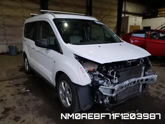 NM0AE8F71F1203987