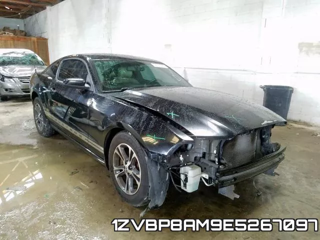 1ZVBP8AM9E5267097